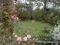 The Garden