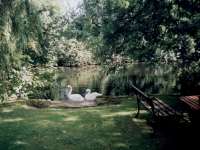 The Garden