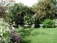 The Garden