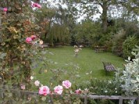 garden11