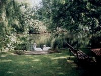 garden 3